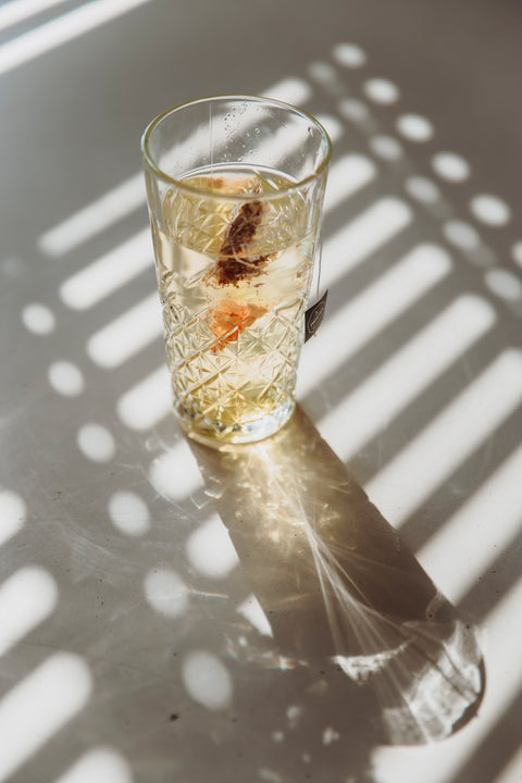 Fruit Fiesta ice tea theezakjes 20 stuks - TwisTea
