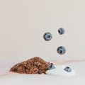 Blueberry Yoghurt - TwisTea