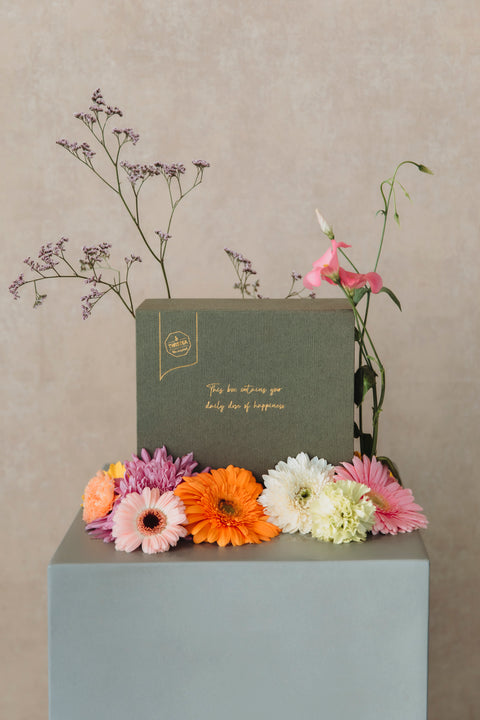 Samplebox Ice Tea - TwisTea